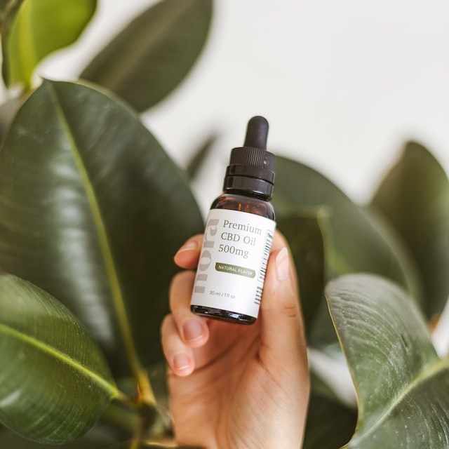 A hand holding a bottle of CBD oil among some leaves